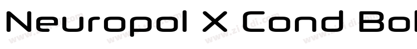 Neuropol X Cond Bold字体转换